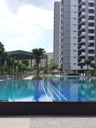 Pasir Ris Heights (D18), Condominium #567532011